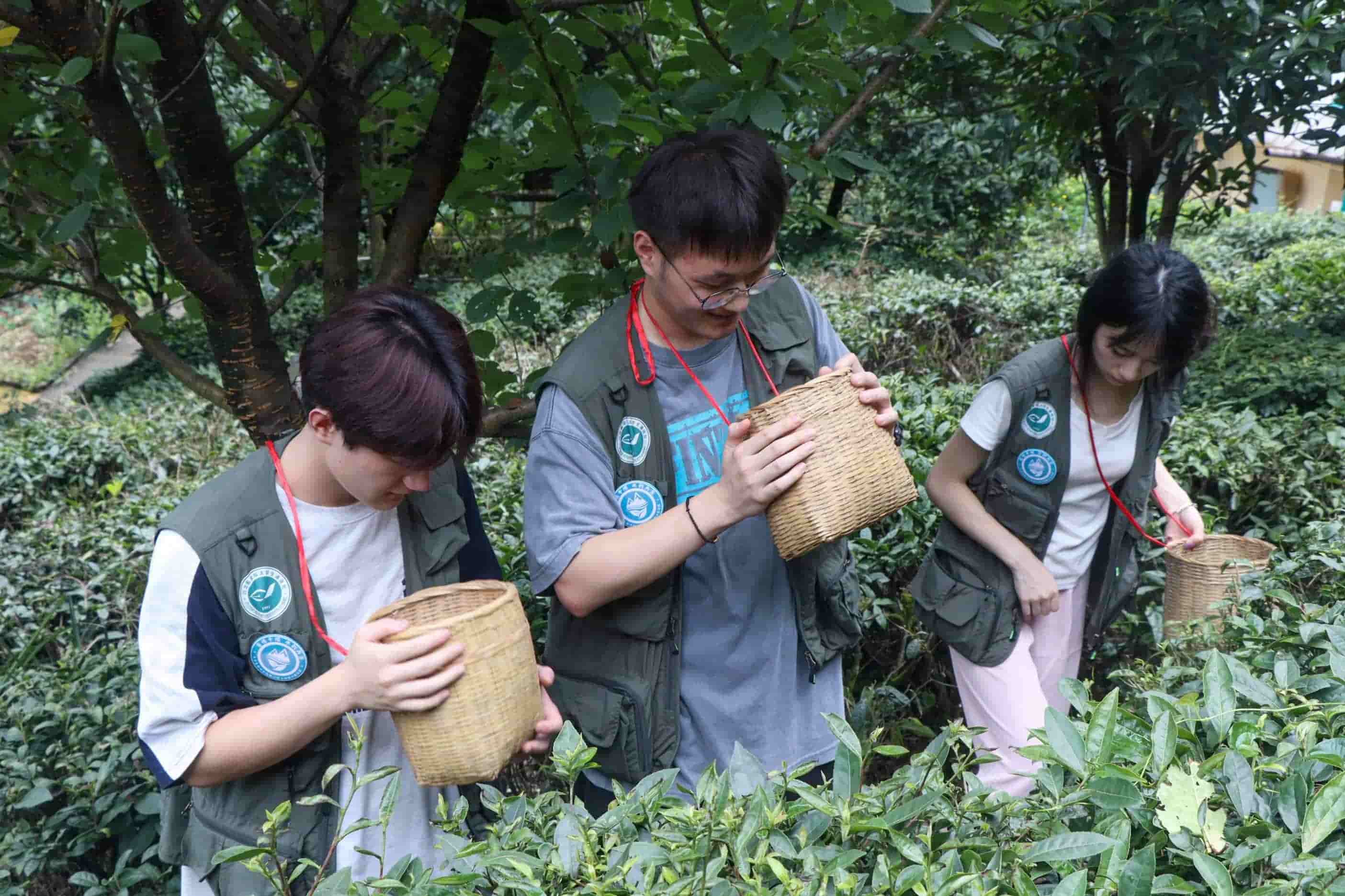 ����ҽѧԺѧ�������硪�������Ϫ�ȣ�������ɫũҵ����������ںϷ�չ�µ䷶