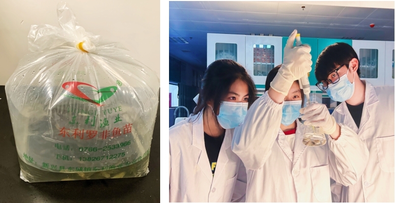 ���ѧ���ǻ����� �Ƽ����ܶ�����ҵ