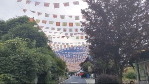 ������ɫ�������Σ�������������¸�