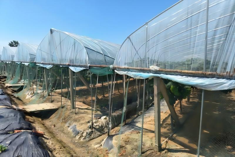 ����ͬ��������԰��չ�ǻ�ũҵר�����