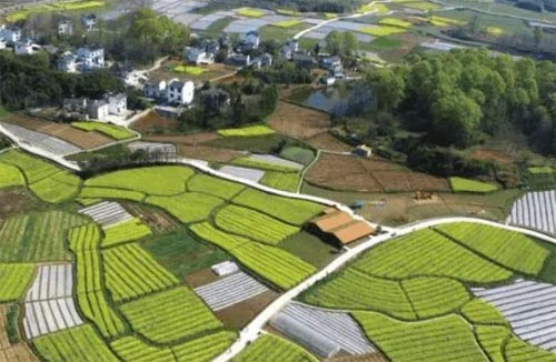 ���ϴ������־���䡰ҩ�Ļ��ء�