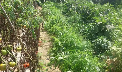 �ӱ�����ְҵѧԺ��ҵ�ʼ���ҵǰ����ô��