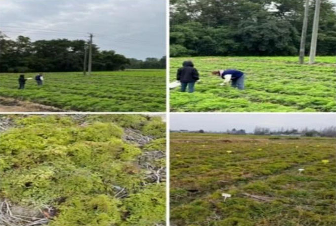 ��̿���ϼ���������ũ���̬���ϡ�