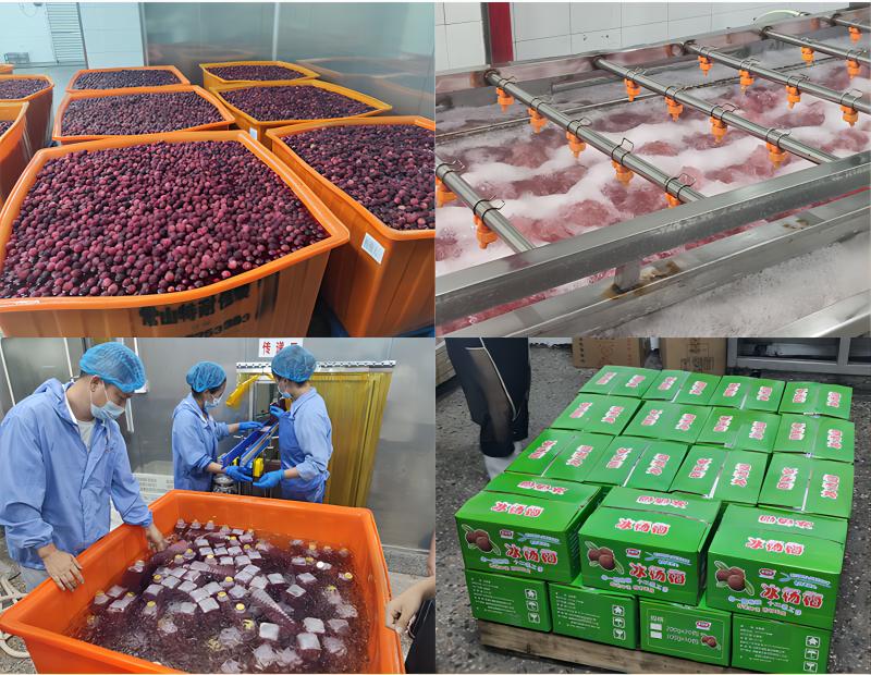 ���Ŵ�ѧ��ȫ���Ը�����÷�������������ʵ���� �߽�ģ����ҵ��̽���ɹ�ģʽ��һ��