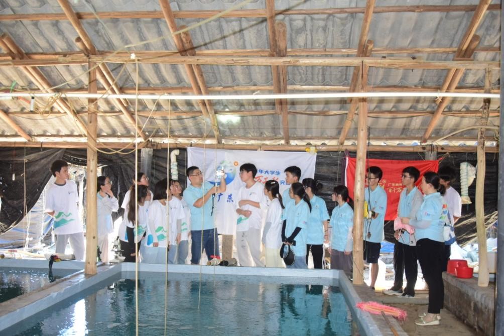 �����ȷ�������� ������ ������