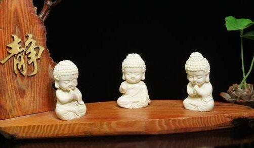 ����ʦ��ѧԺ��ҵ�ʼ���ҵǰ����ô��