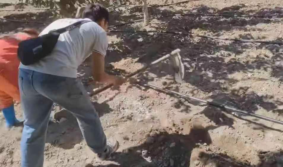 ���ʵ�����½�ѧ�Ӱٴ��У��ĳǴ�ѧ��е����������ѧԺ�����Ŷӻ���������ܹ��ϵͳ���蹤��