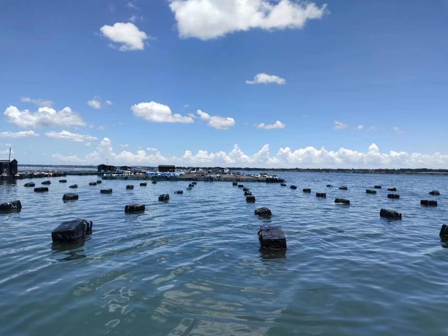 �����ȷ����������������飬��ũ��ũ�Ƽ�����