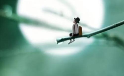 ��ʹ�������Լ�