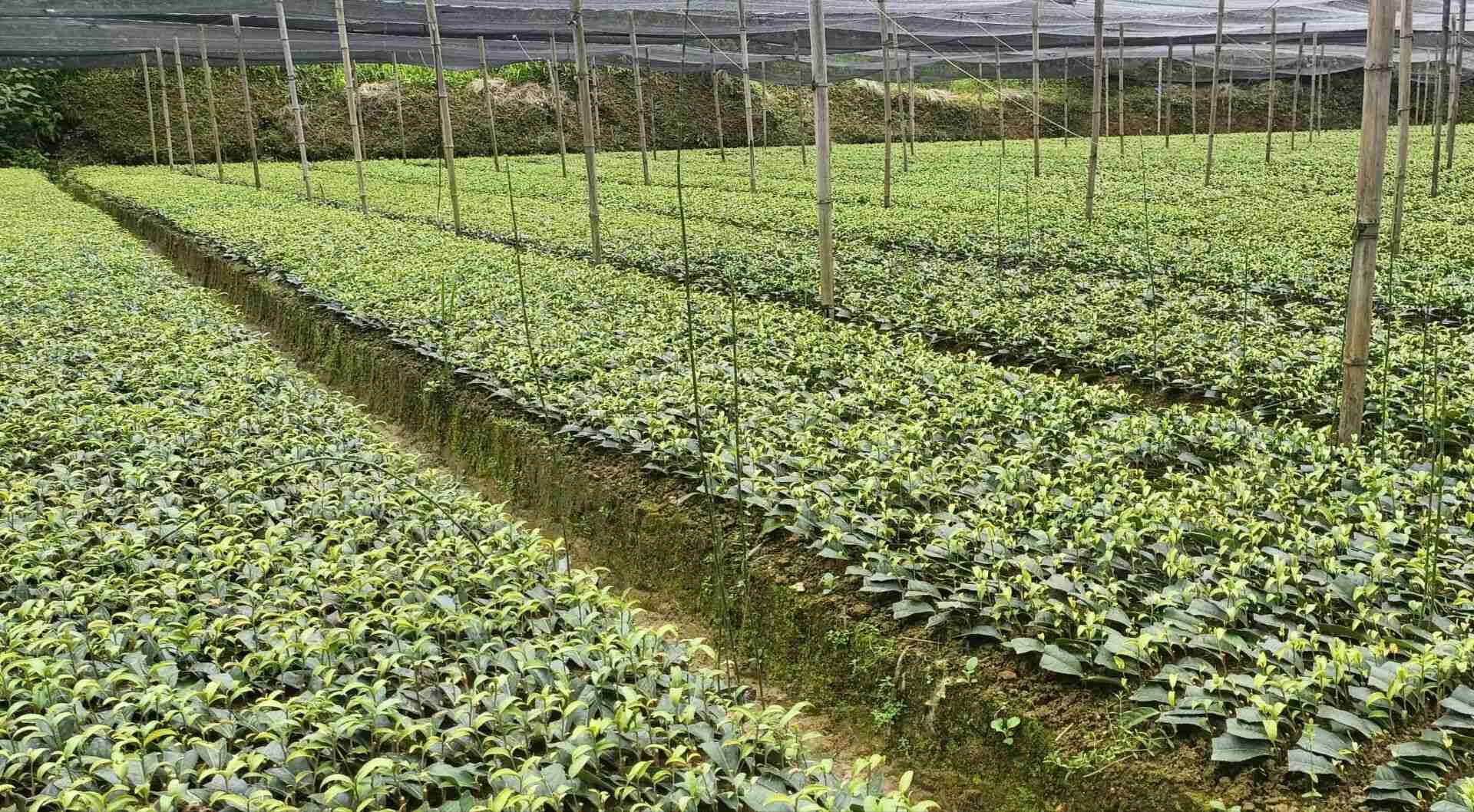 ����ʦ����ѧ����˼����ѧԺĽ�������Ŷӣ��߽���ʶ��磬̽Ѱ������Ĺ���