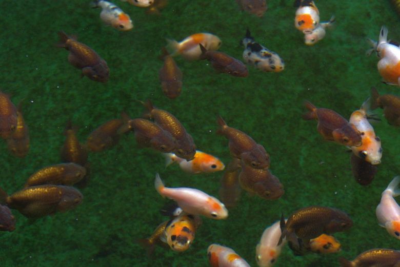 �̺�����Ծ �ഺ�ܶ�ʱ