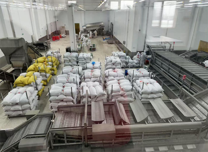 ���ɾ���н��������˻���ƪ����С��ͷ����ɱ�֮��