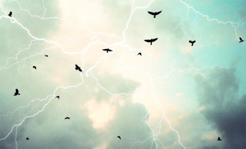 �ɳ�����Ҫ�Ҹ�