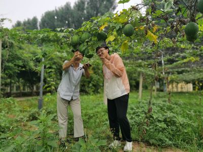 ɽ����ѧ����������ɣ��ũ�飬��̬���С��������ڼ����к̱���ҩ�����޹�˾��չ����