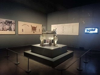 ���ղ���ݣ���Խʱ�յ��Ļ�ʢ��