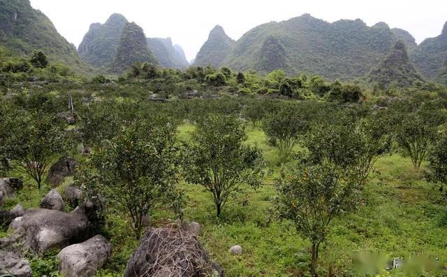 �߽�����ˮ�������������ԿƼ�����