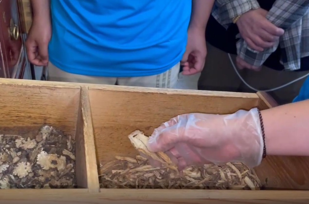 ����ҩ�㴫���ģ������ǻ������ϡ����ӱ���ҽҩ��ѧҩѧԺ���뱣