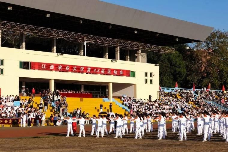 ����Ľ�ũ�˶�����