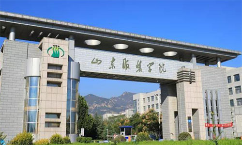 ɽ��ְҵѧԺ��ҵ�ʼ���ҵǰ����ô��