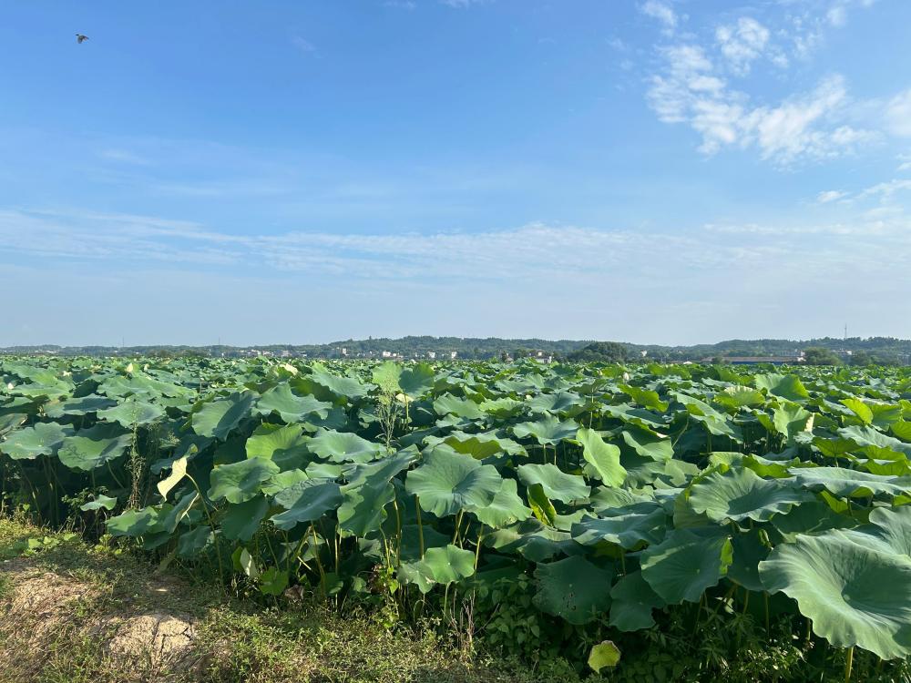 ��̸����֮�ã�̽���������