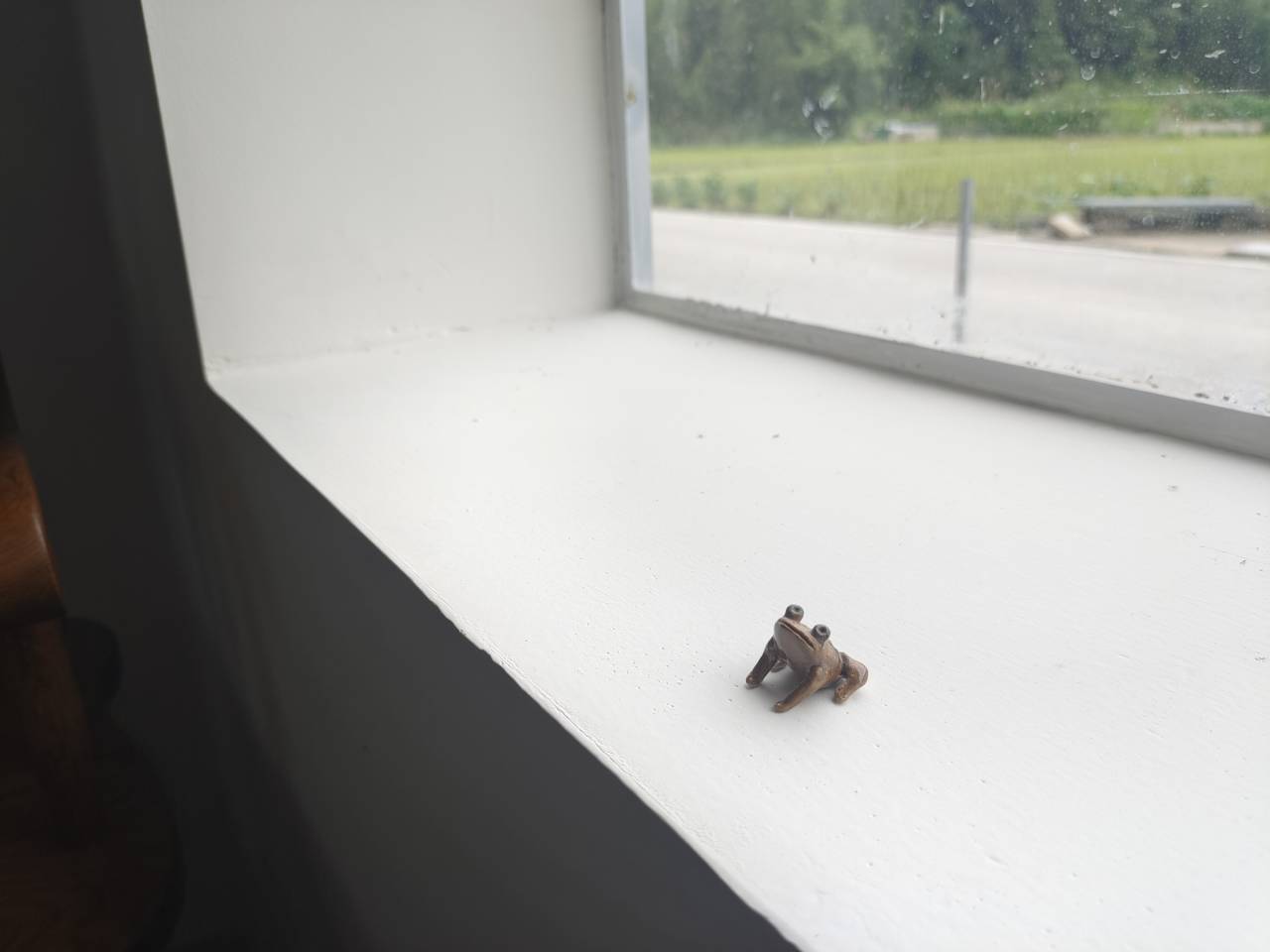 �����մ������ҡ�����ũҵ��ѧ����ʵ���Ŷ�����ר��