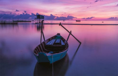 ��ƻ������ɵ��