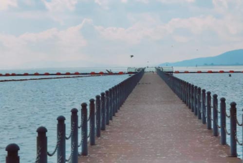 �µ�����