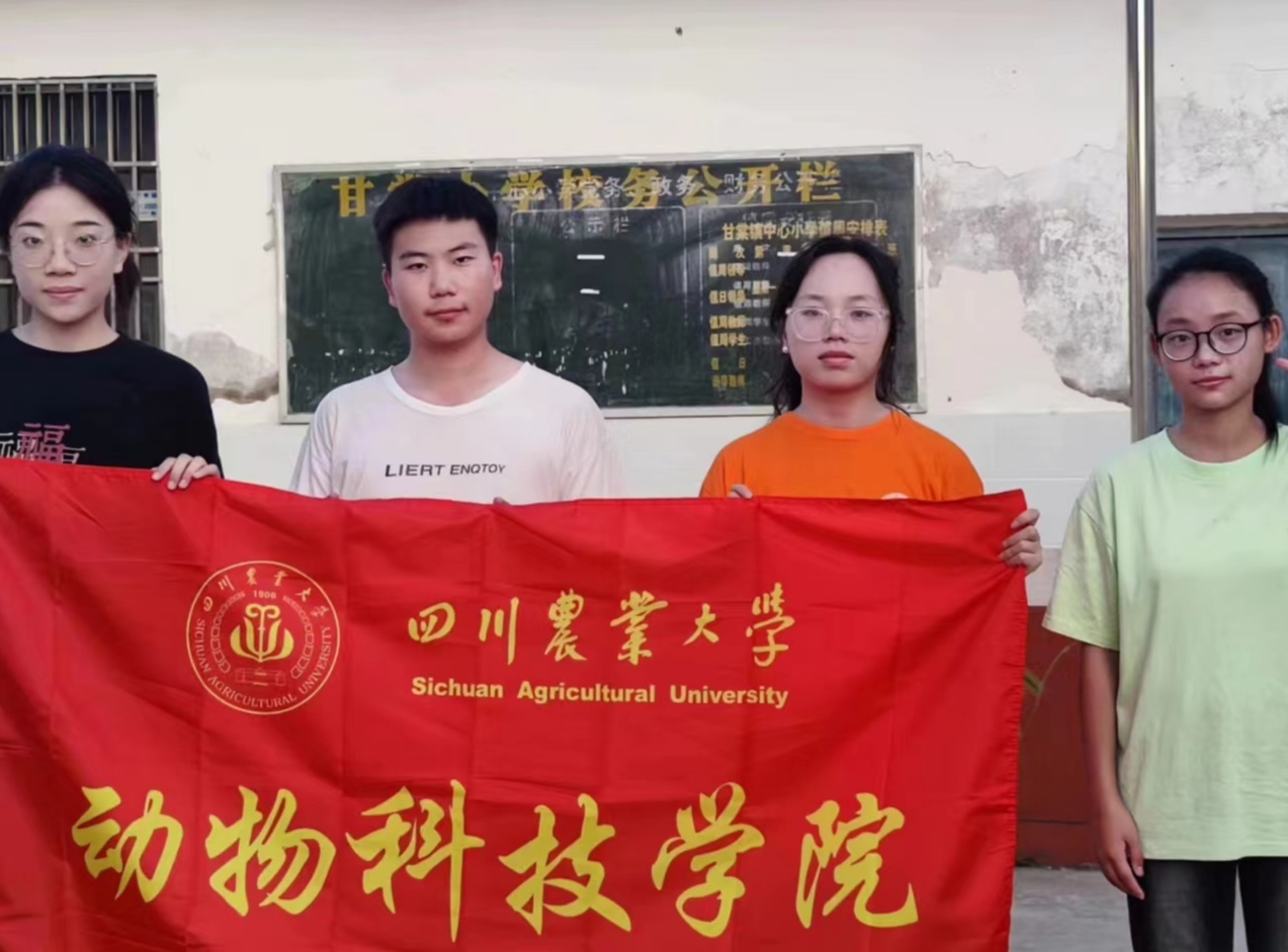 ����ֱ���Ķӡ�����������֮�ģ�������֮�¡�