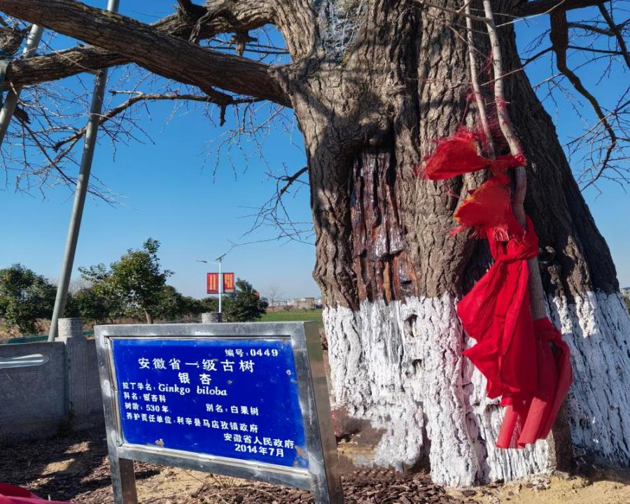 �ػ������ӣ������������»���������ѧ��־Ը�����ж�