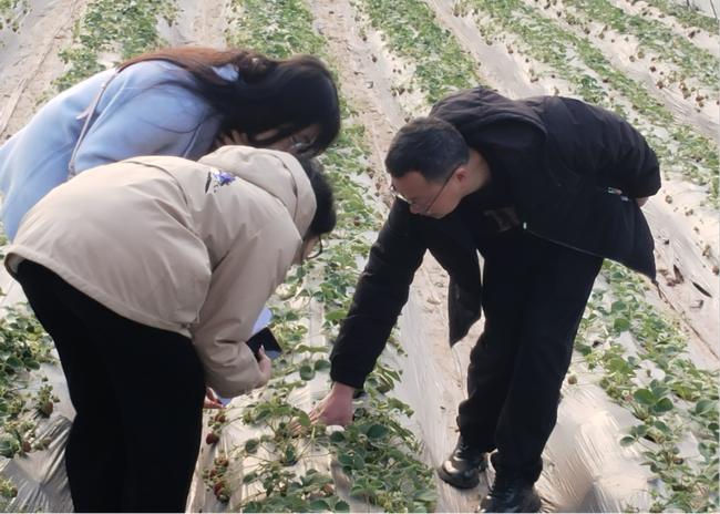 �ഺ̽԰��ݮ�ǣ�����������ũ��