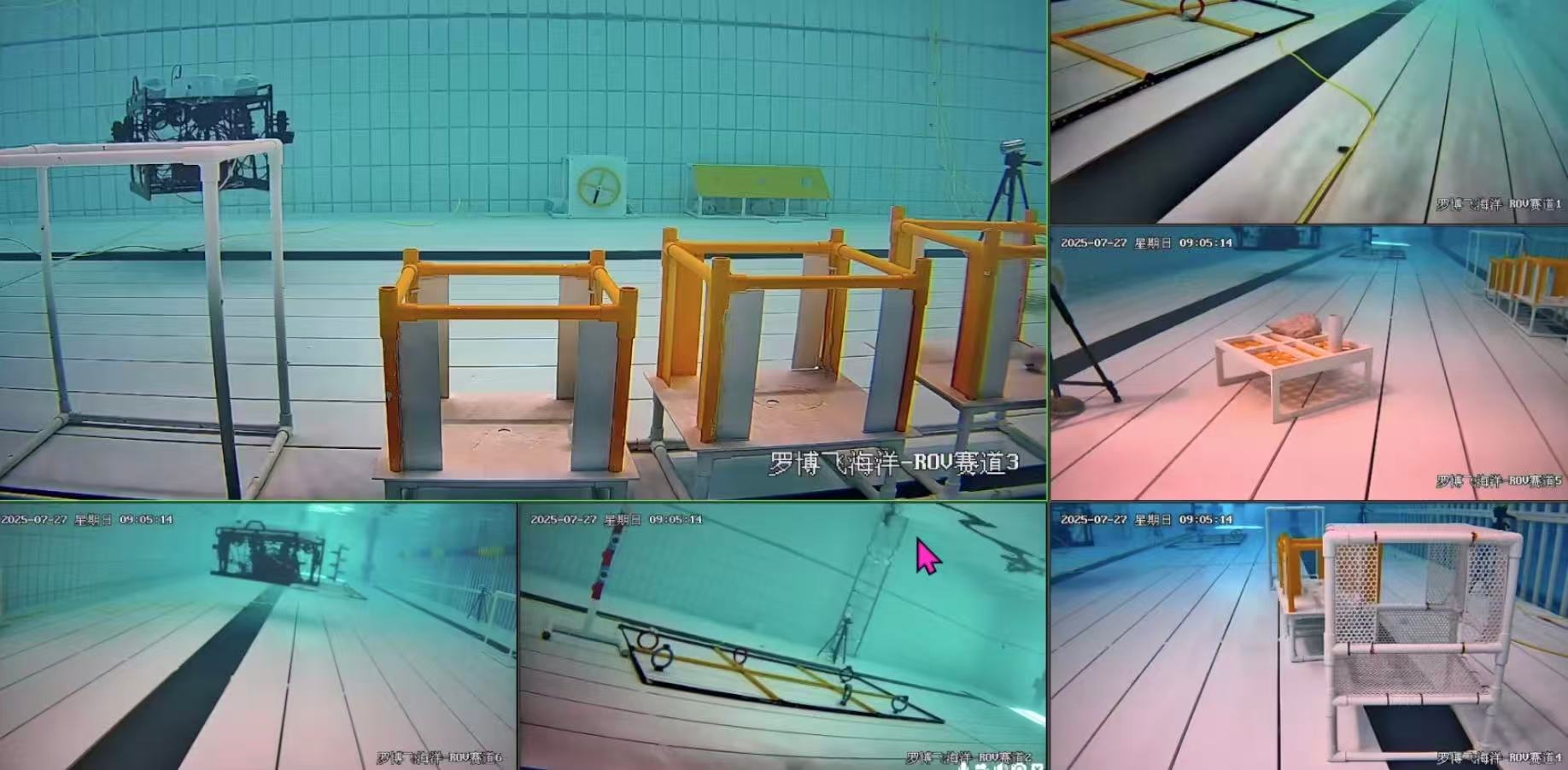 �������ʵ����ֱ������������ˮ�»����˳ɻƺ���̬�������°��֡�