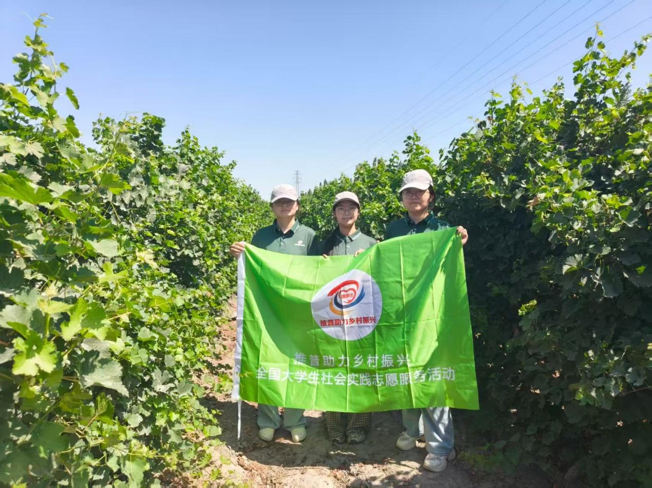 �������˽��������Ѿ��񴫡�����ɽ��������ѧ��������������˽���������ũʵ����