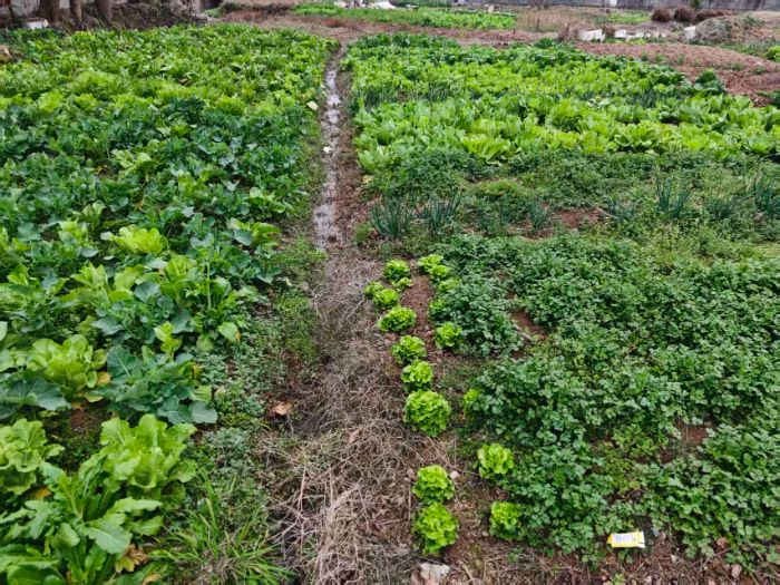 ��������������Ŀ�����ǻ�ũҵ�·�