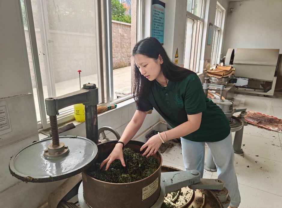 ഺҵѧɽ԰̽ءԳγ桱̼ģʽ 