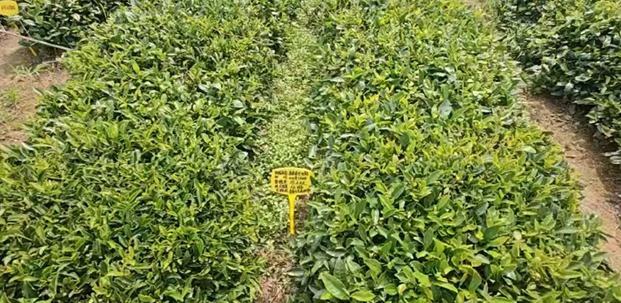 ۽ҵ̬չ ũѧӸൺȪҵչڵ