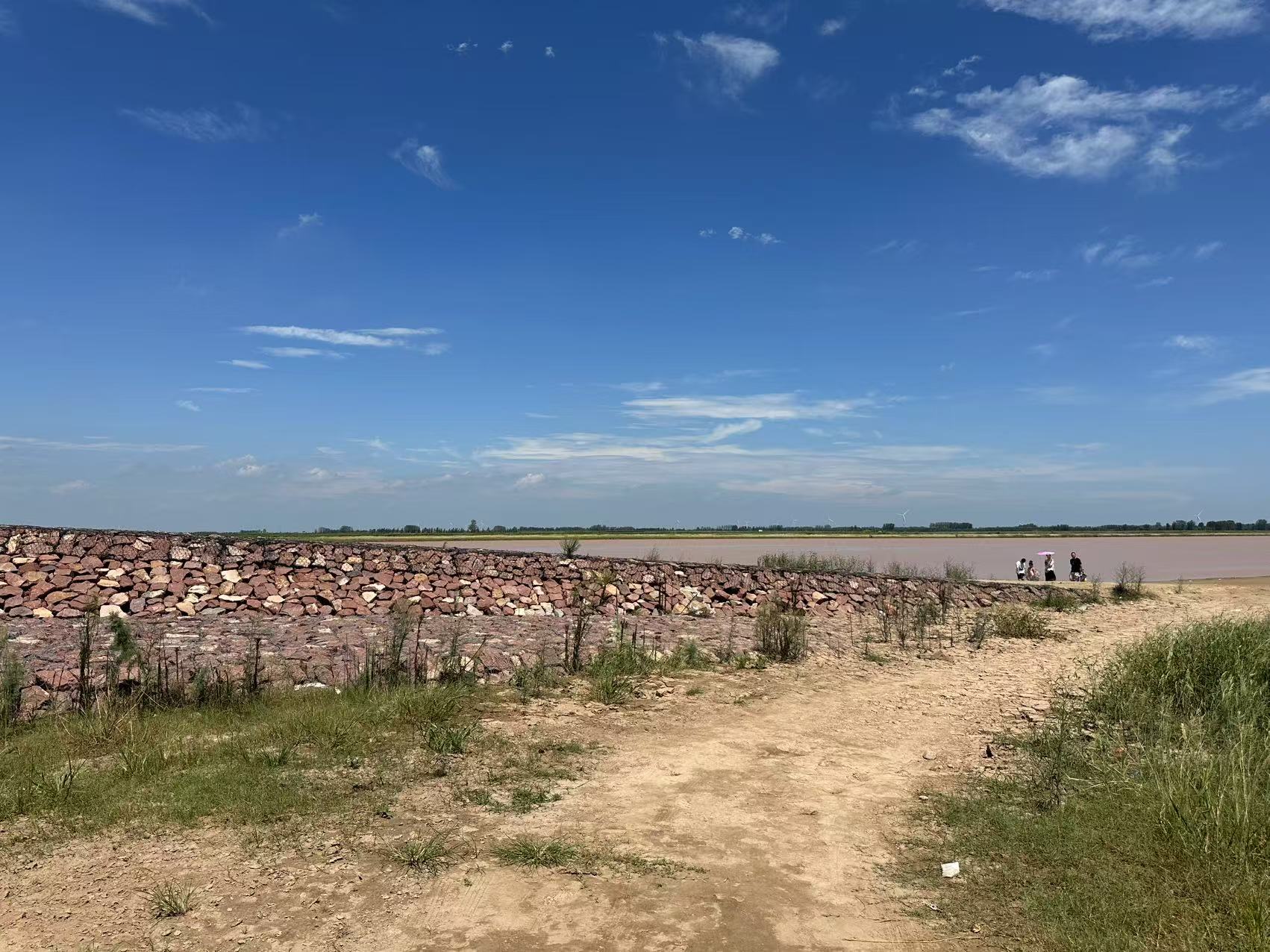 �ƺӰ�������������