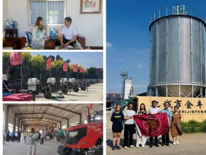 ���������ϣ��������Ρ������� ˳��������ڵ��л