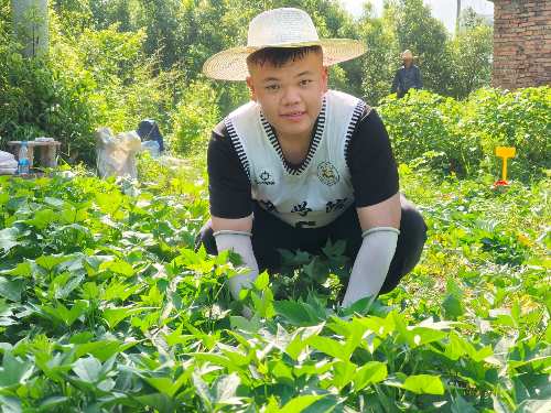 ����ũ�ִ�ѧ���������硱ʵ���������磺��ũ��ѡ���磬������ʳ��ȫ