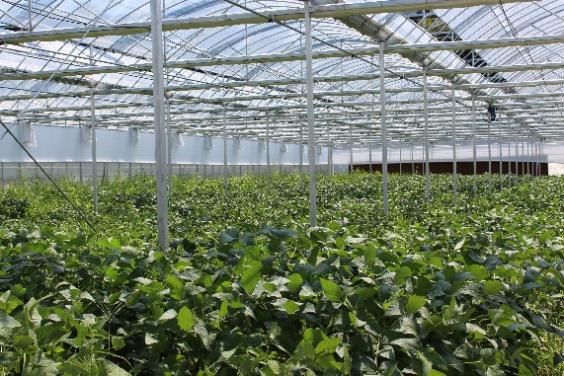 ����о�����Ρ��ǻ桰о��; | �㽭���̴�ѧ���ʵ����̽����Ǿ��Ƽ���ֲ����