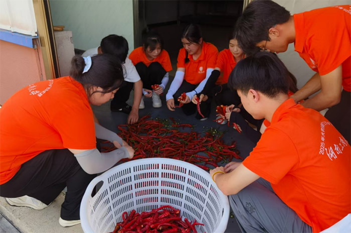 ������ʵ������������������̽Ѱ��ͳ������������������