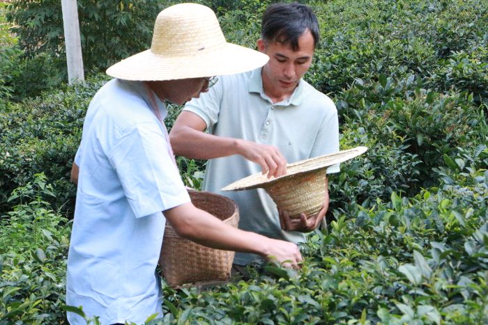 ���������ѧ������İ�������Ͷ�ʵ���Ÿ������������翪չ���ʵ��