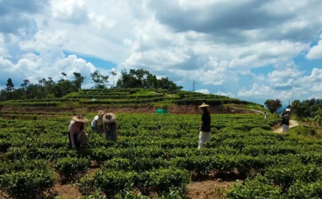 ���������Ρ�����������ʵ���Ӹ�Ȫ���а�Ϫ�ش󱦷��԰��չ���ʵ���