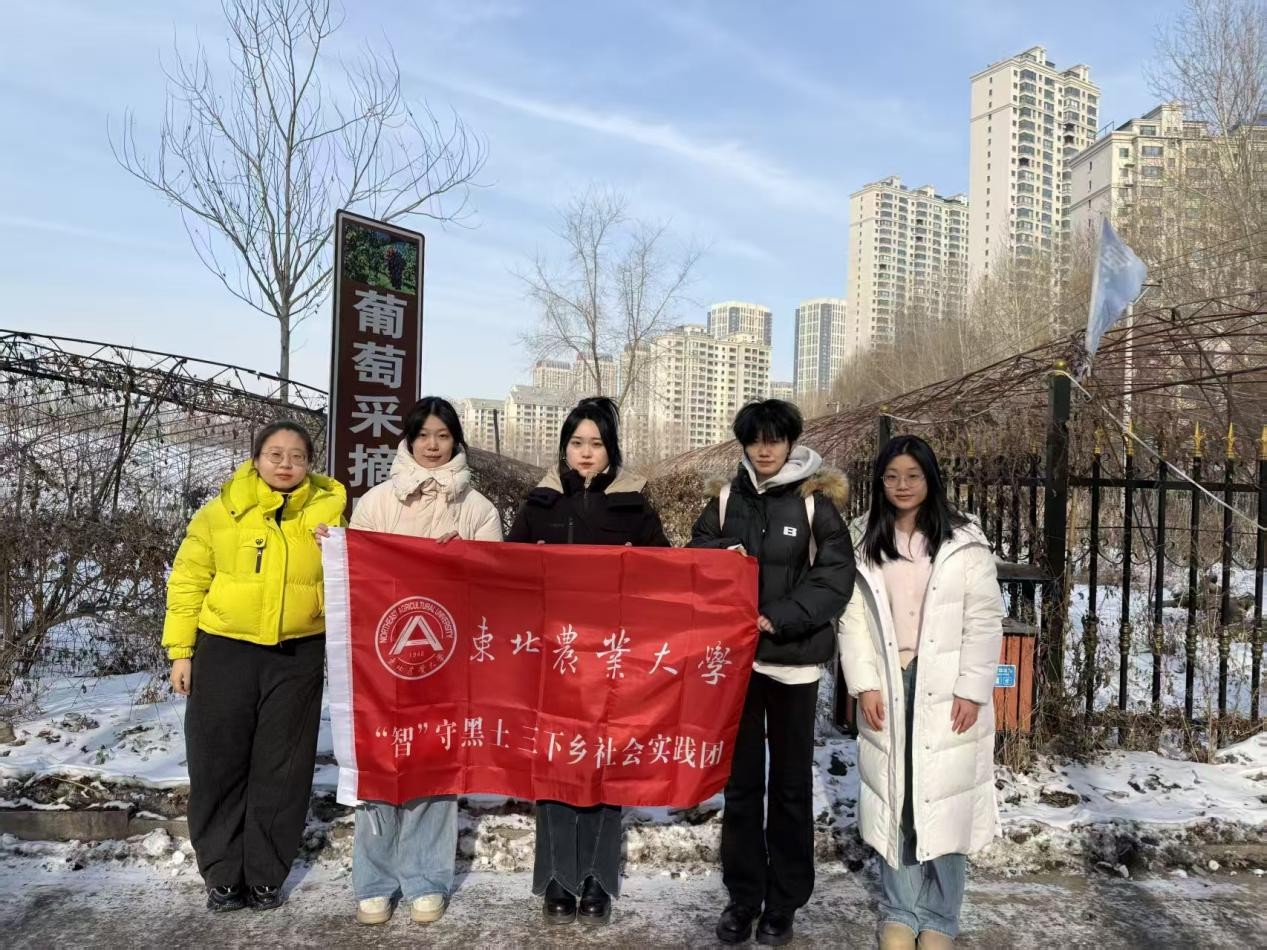 545474ea62aa301035d8f6cb1f1d08b1