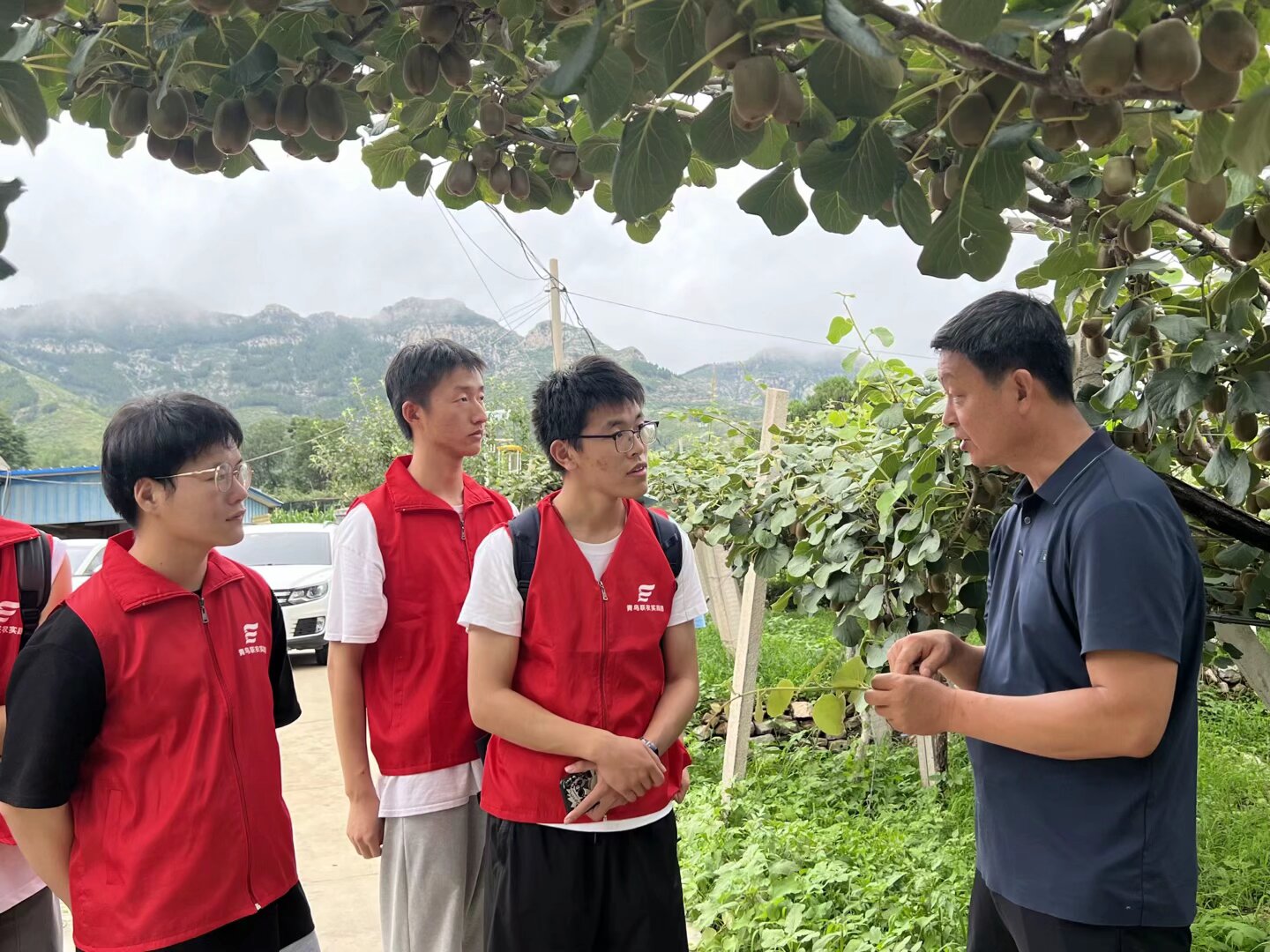 ɽ��������ѧ������ũʵ����̽�ñ��Ĵ�⨺��Һ����磺�ִ���ũҵ������������ͼ��