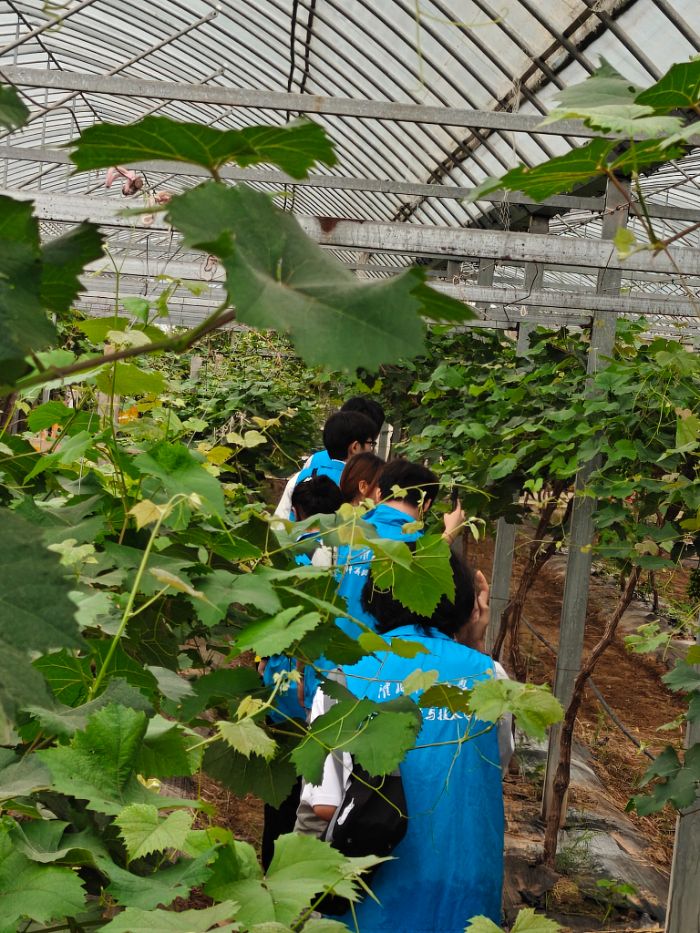 �����Ϸ������������㡷��������ʦ����ѧѧ�Ӷ�԰��ׯ���ѹ�����ʵ¼