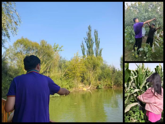 ʵ����˶�����ջ�������