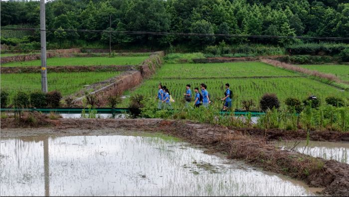 ���ꡰ���CEO����������˵�������