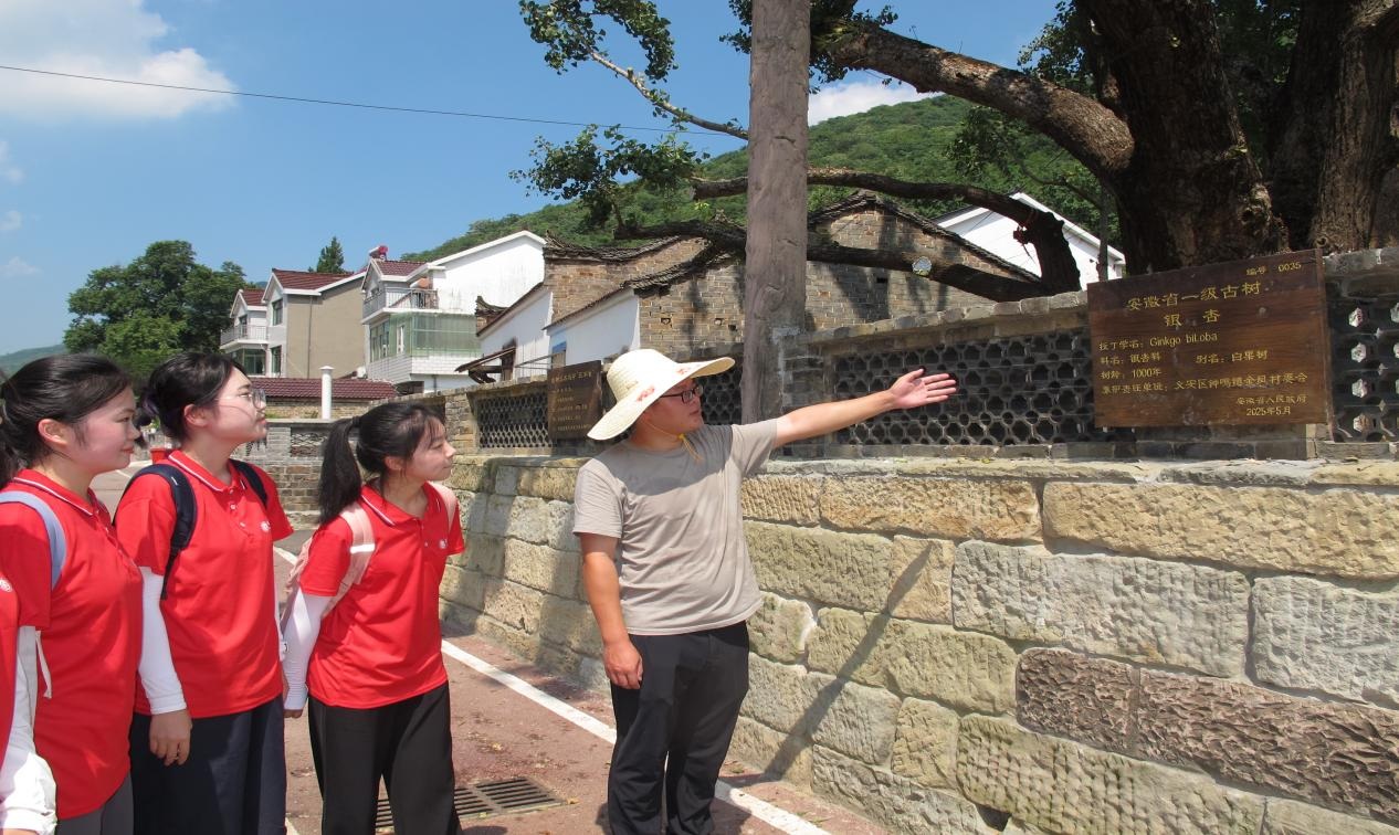 ��������+�շ���������ѧ��Ϊ��ɫ��彨��ע�뷨������