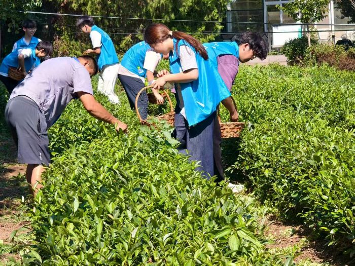 ��Ũũ�������չ٣���������δ��