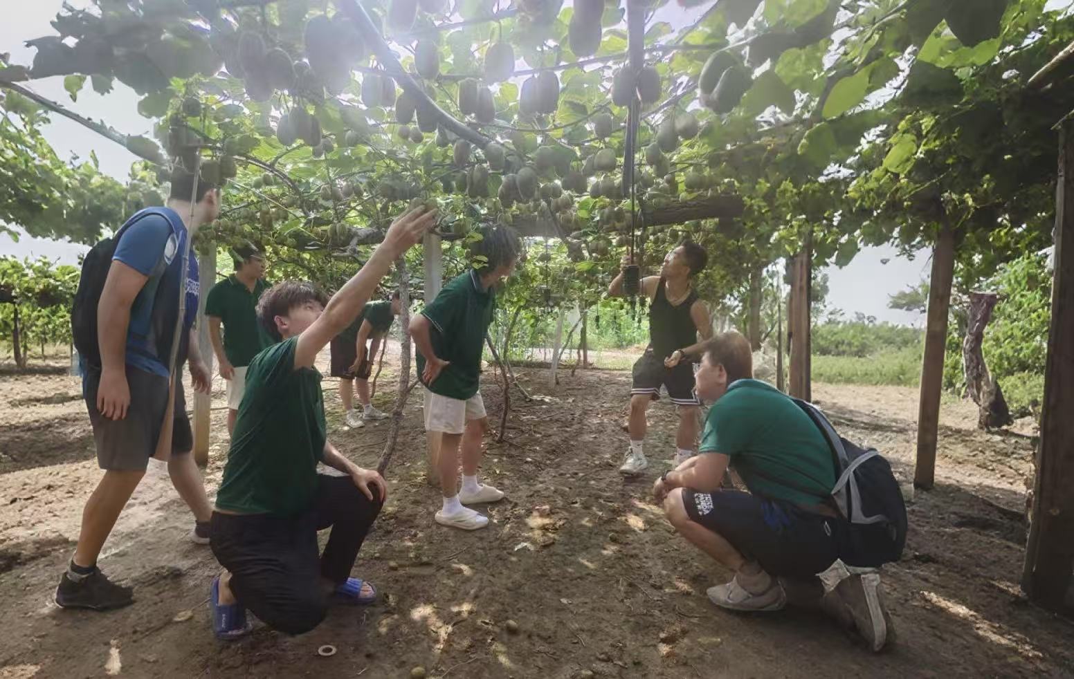 ��������ũ�У��ഺ�˽��Ρ�����ɽ��������ѧ��������������˽���������ũʵ����